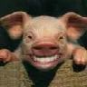Profilbild von WinkerMG