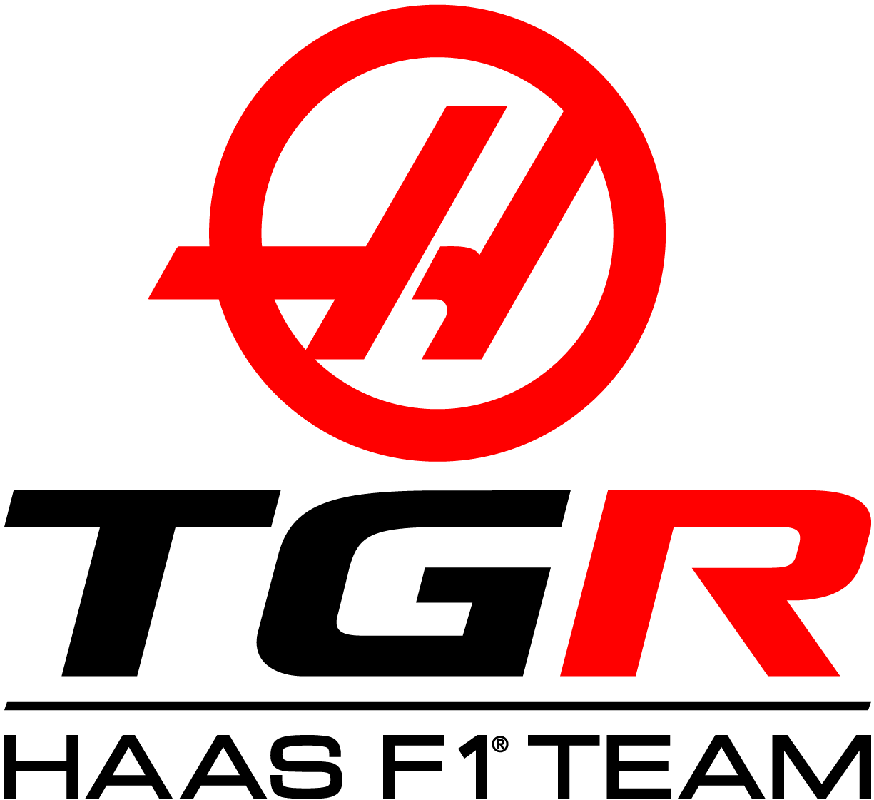 Logo des Teams Haas